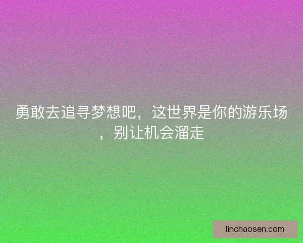 勇敢去追寻梦想吧，这世界是你的游乐场，别让机会溜走