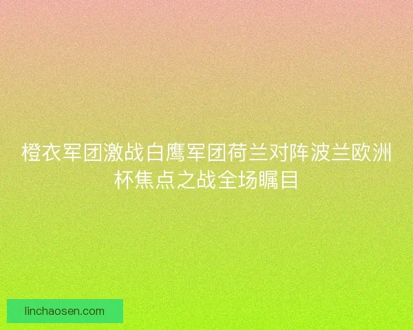 橙衣军团激战白鹰军团荷兰对阵波兰欧洲杯焦点之战全场瞩目